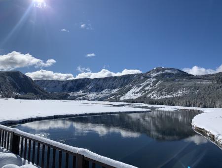 Madison River in Yellowstone National Park