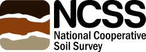 NCSS primary logo