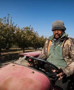 Farmer tending to pistachio grove in California.