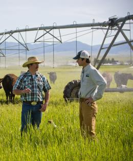 Rancher and NRCS employee standing in irrigated pasture with cattle herd